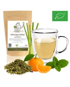 maté boost guarana agrumes citronnelle biologique